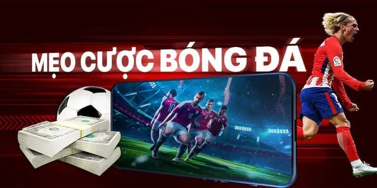 Tìm Hiểu Cá Cược Bóng Đá 7Ball Chi Tiết Và Kinh Nghiệm Đặt Kèo Chuẩn