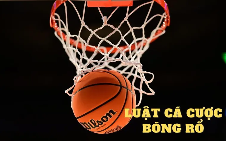 Cá Cược Bóng Rổ 7Ball Với Hệ Thống Kèo Đa Dạng Và Trải Nghiệm Thực Tế