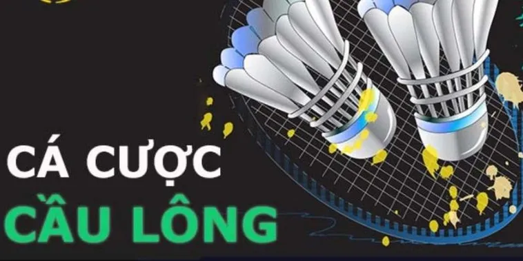 Hướng Dẫn Chi Tiết Cách Chơi Cá Cược Cầu Lông Tại 7Ball Hiệu Quả Nhất