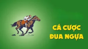 Tìm Hiểu Cá Cược Đua Ngựa 7Ball Chi Tiết Luật Chơi Cách Đặt Kèo Và Mẹo Thắng