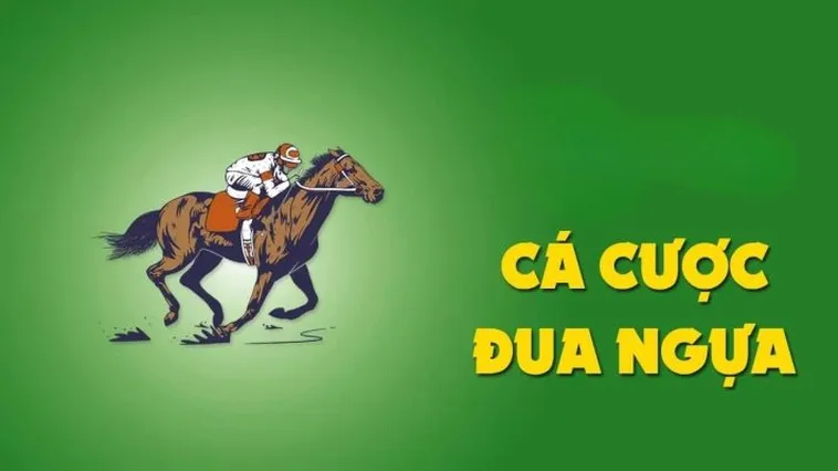 Tìm Hiểu Cá Cược Đua Ngựa 7Ball Chi Tiết Luật Chơi Cách Đặt Kèo Và Mẹo Thắng